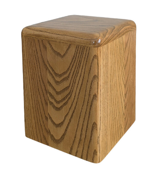 23 Cambrian Match, urn, Ash