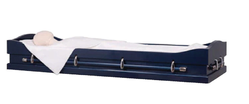 Chaise Bed Viewer, furniture in 