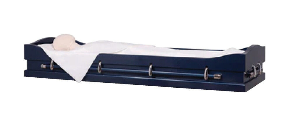 Chaise Bed Viewer, furniture in 