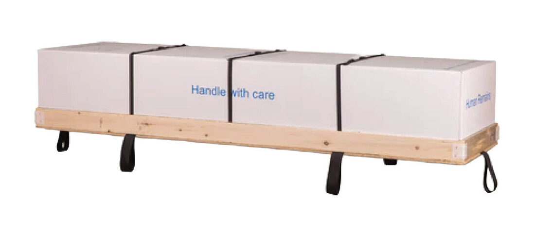Combo - Body Only Shipper, shipping container in 