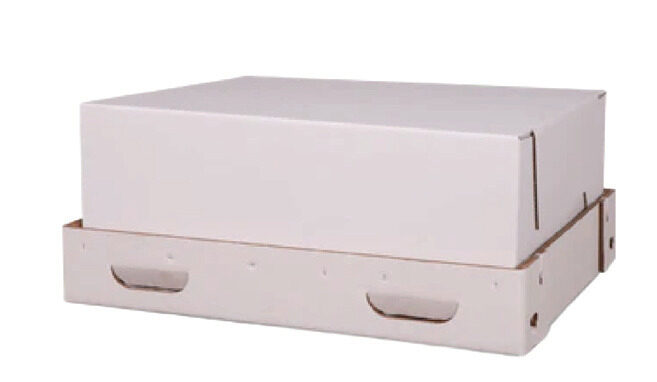 Pet Cremation Container - L, cremation container in White Fibreboard