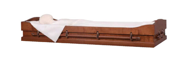 Plus-Size Chaise Bed Viewer, furniture, 