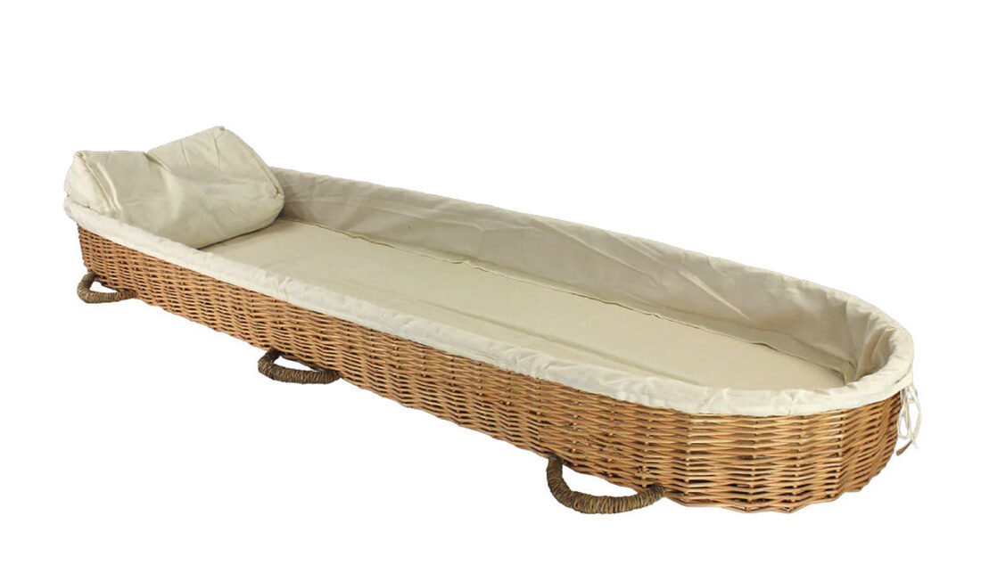 Willow Carrier, accessory in Willow